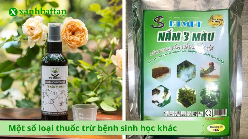 Một số loại thuốc trừ bệnh sinh học khác