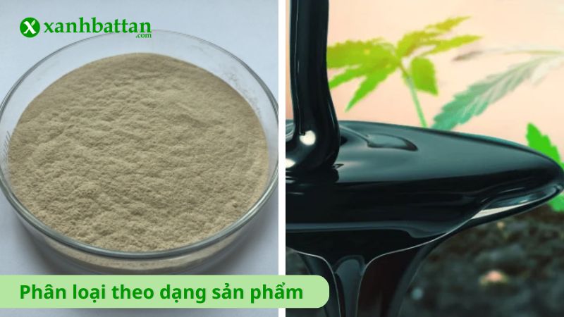 Phân loại theo dạng sản phẩm