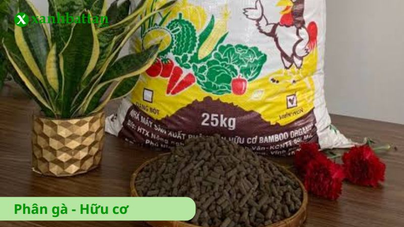 Phân gà hữu cơ