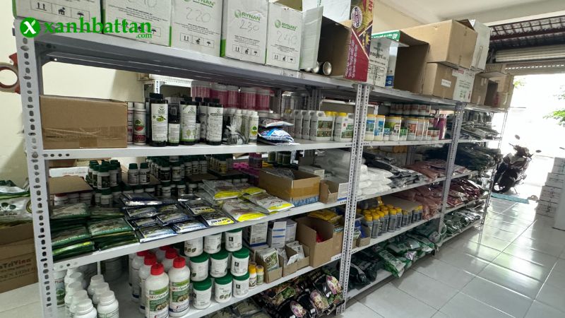 Địa chỉ mua đất sạch trồng cây chất lượng tại TP.HCM?