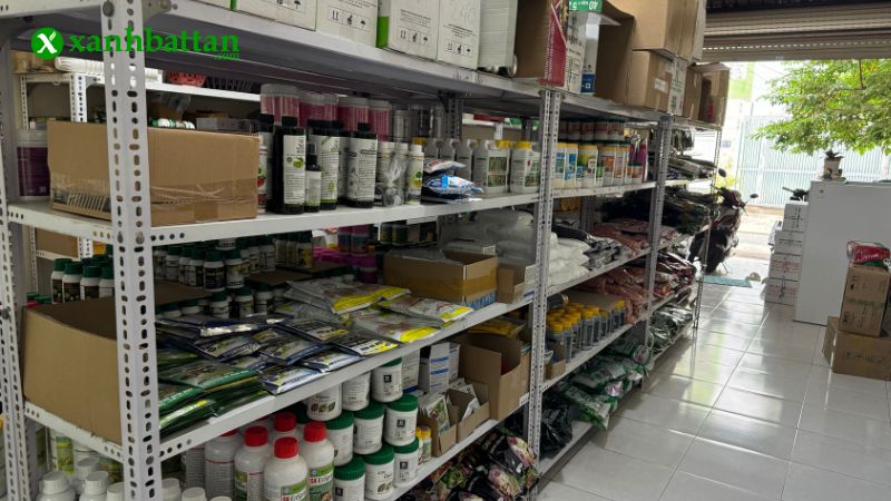 Mua phân bón cho hoa lan uy tín, chất lượng tại TP.HCM?