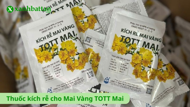 Thuốc kích rễ cho Mai Vàng TOTT Mai