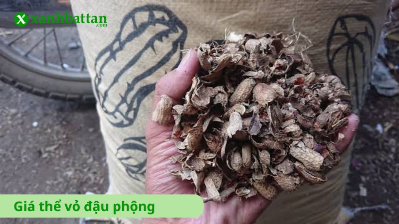 Giá thể vỏ đậu phộng