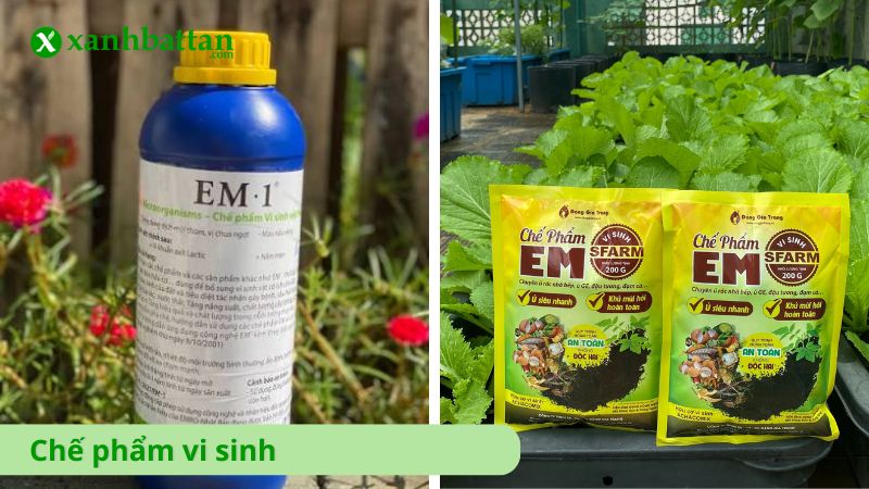 Chế phẩm vi sinh cho rau sạch