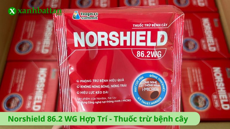 Norshield 86.2 WG Hợp Trí - Thuốc trừ bệnh gốc đồng