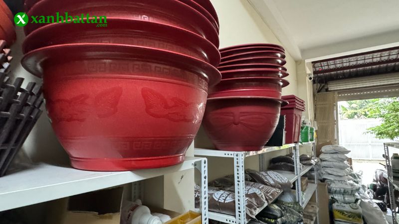 Địa chỉ mua chậu trồng cây chất lượng tại TP.HCM?