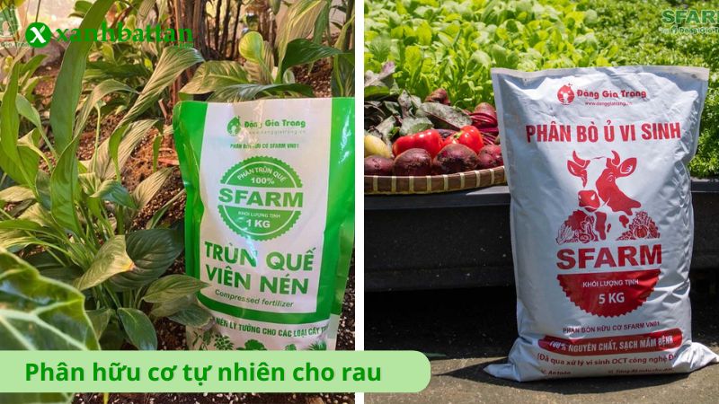 Phân hữu cơ tự nhiên cho rau sạch