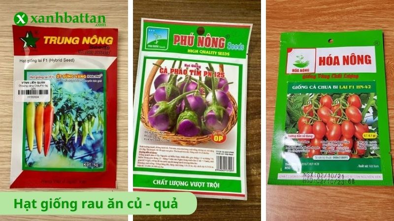 Hạt giống rau ăn củ - quả là gì?