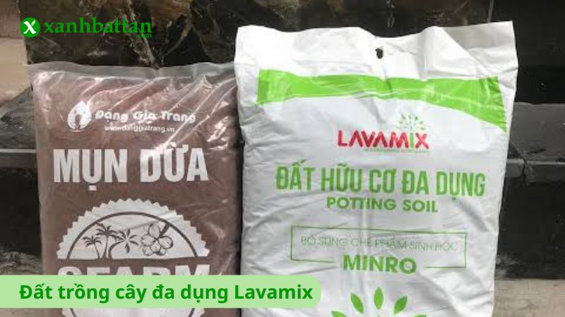 Đất trồng cây đa dụng Lavamix