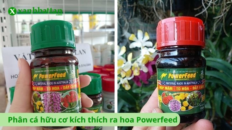 Phân cá hữu cơ kích thích ra hoa Powerfeed
