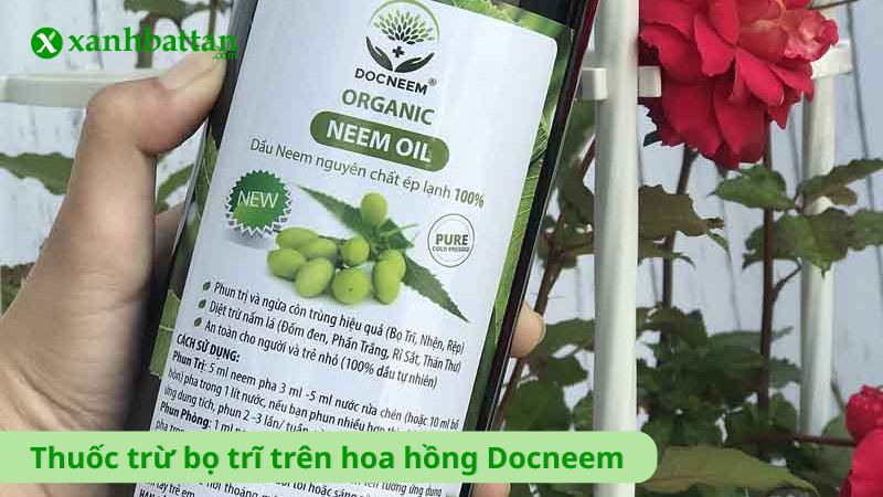Thuốc trừ bọ trĩ trên hoa hồng  - Docneem