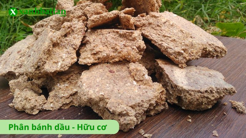 Phân bánh dầu hữu cơ