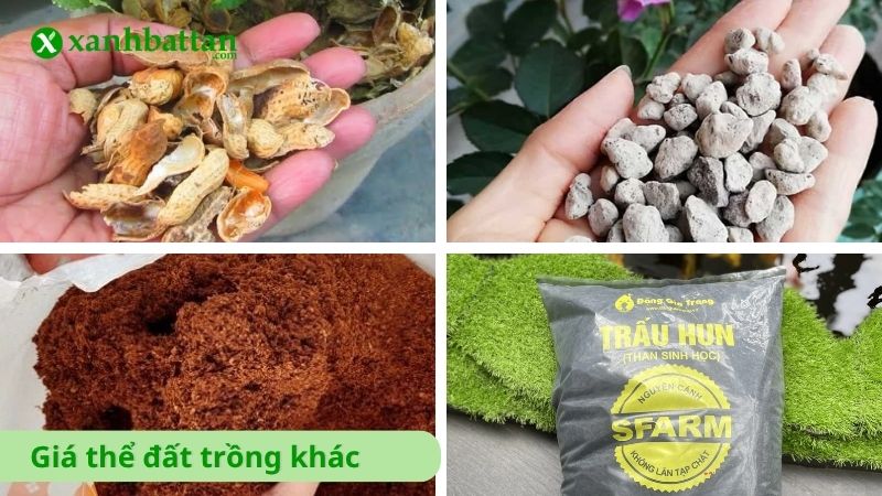 Một số loại giá thể đất trồng khác