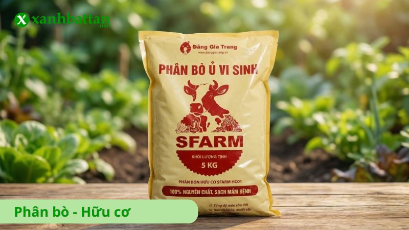Phân bò hữu cơ