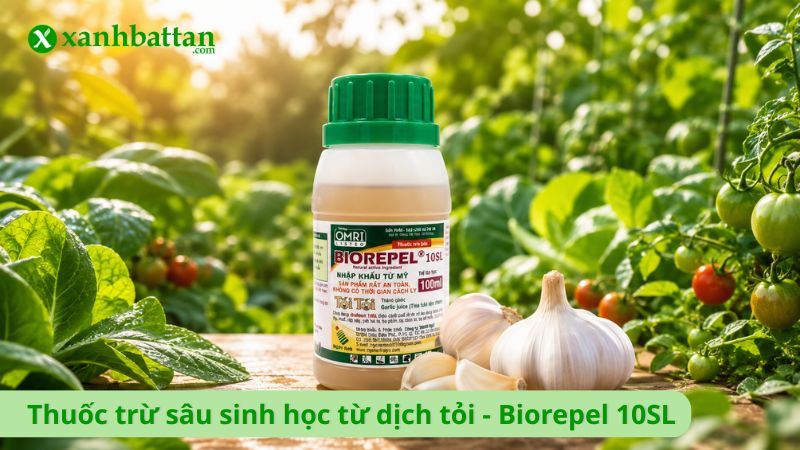 Thuốc trừ sâu sinh học từ dịch tỏi - Biorepel 10SL