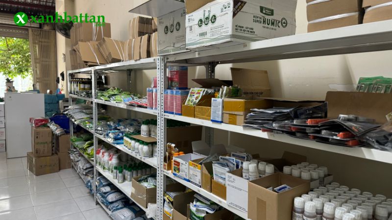Mua phân bón cho hoa hồng uy tín, chất lượng tại TP.HCM?
