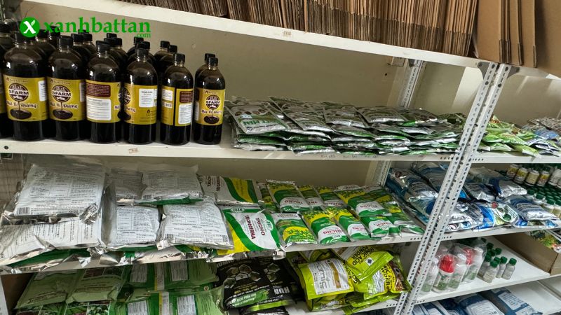 Mua thuốc trừ bệnh sinh học uy tín, chất lượng tại TP.HCM?