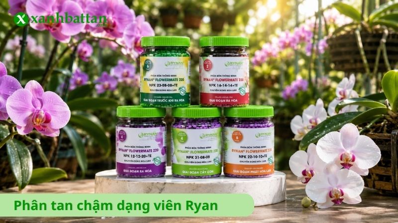 Phân tan chậm dạng viên Ryan - Vô cơ