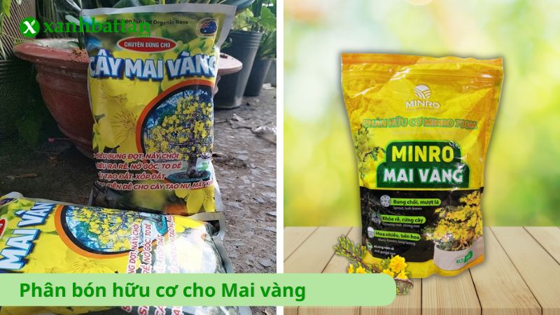 Phân bón hữu cơ dùng cho Mai vàng