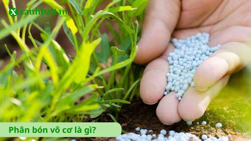 Phân bón vô cơ là gì?