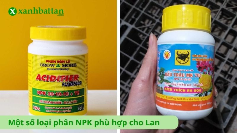 Một số loại phân NPK phù hợp