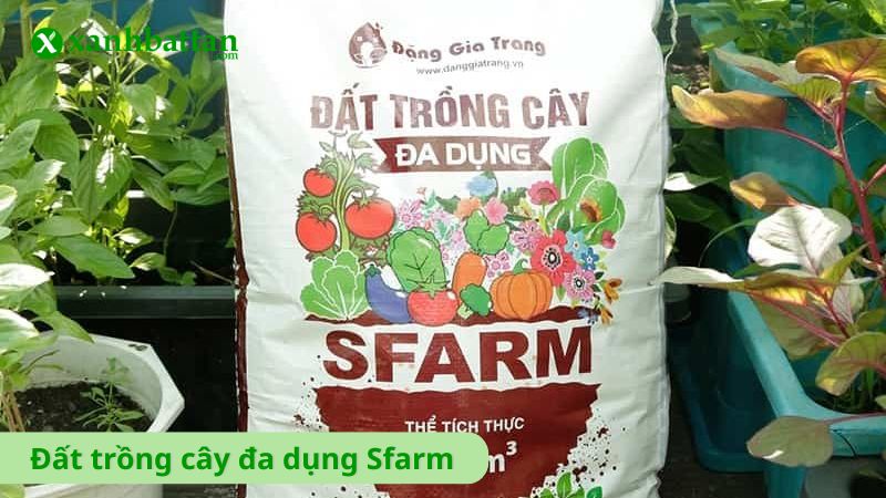 Đất trồng cây đa dụng Sfarm
