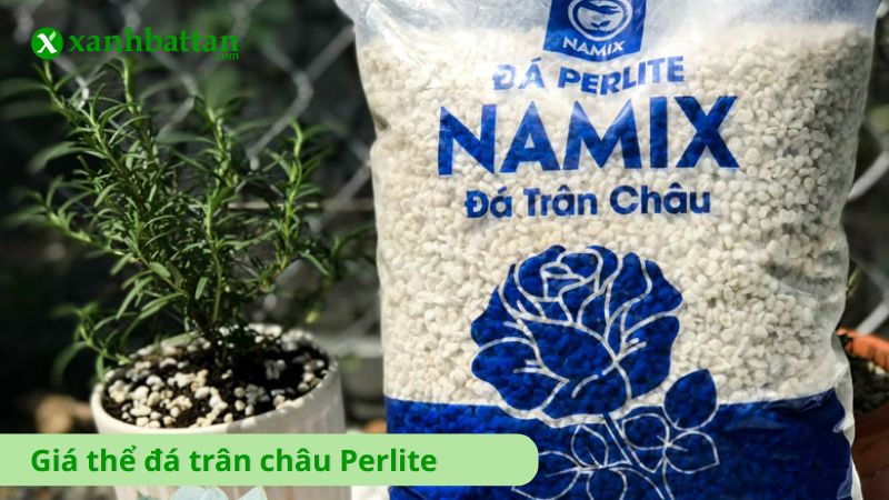 Giá thể đá trân châu Perlite