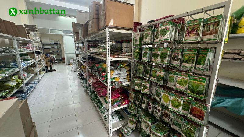 Địa chỉ mua hạt giống rau mầm uy tín tại TP.HCM?