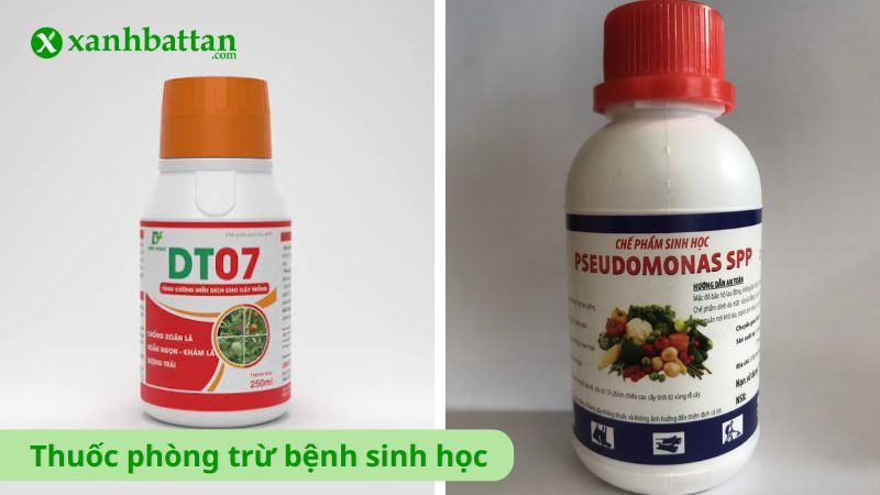 Thuốc phòng trừ bệnh sinh học là gì?