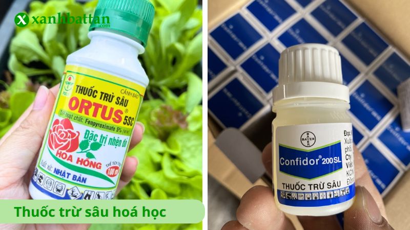Thuốc trừ sâu hoá học là gì?