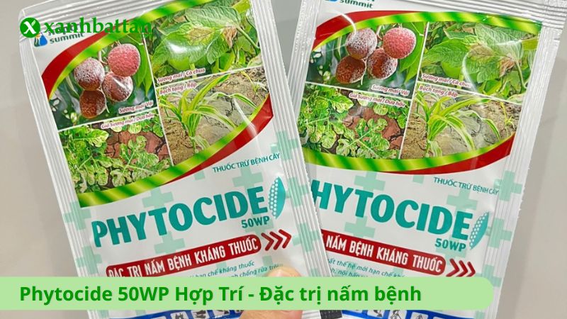 Phytocide 50WP Hợp Trí - Đặc trị nấm bệnh