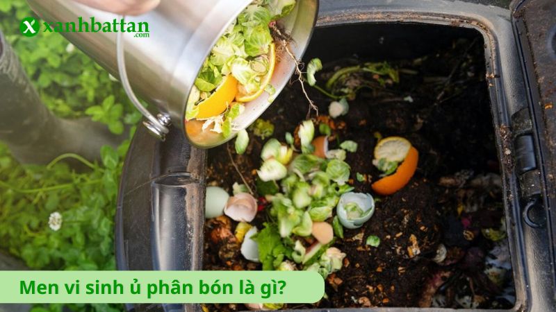 Men vi sinh ủ phân bón là gì?