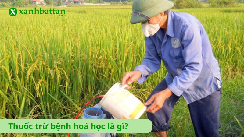 Thuốc trừ bệnh hoá học cho cây là gì?