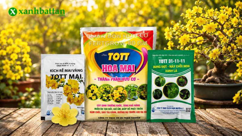 Combo phân bón dinh dưỡng chăm sóc Mai sau Tết
