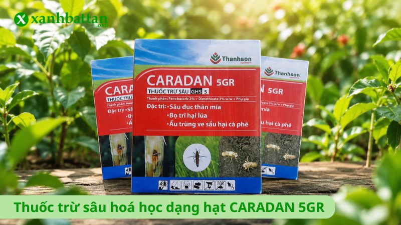 Thuốc trừ sâu hoá học dạng hạt CARADAN 5GR