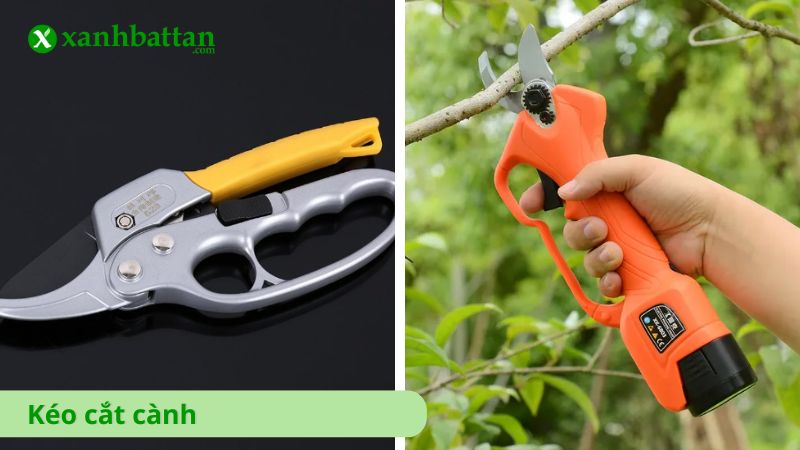 Tìm hiểu chi tiết về kéo cắt cây