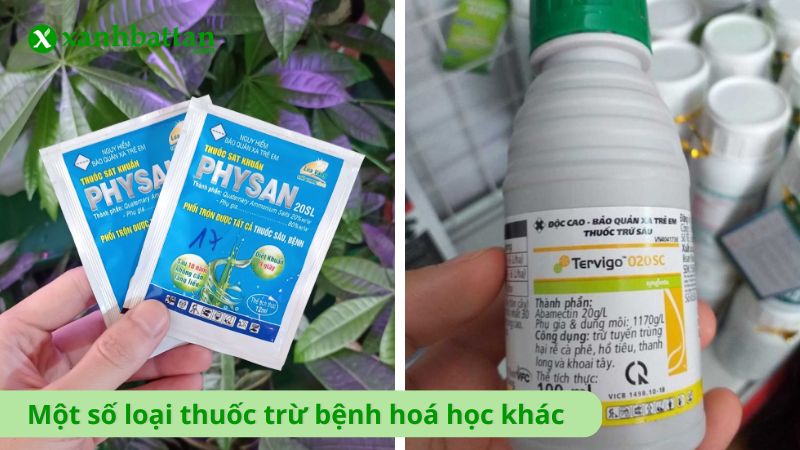 Một số loại thuốc trừ bệnh hoá học khác