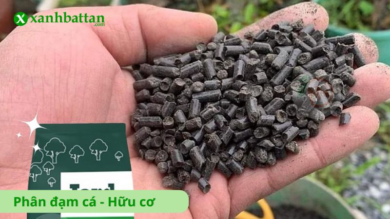 Phân đạm cá hữu cơ
