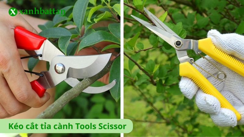 Kéo cắt tỉa cành Tools Scissor, chất liệu thép