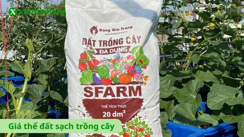 Tìm hiểu chi tiết đất sạch trồng cây là gì?
