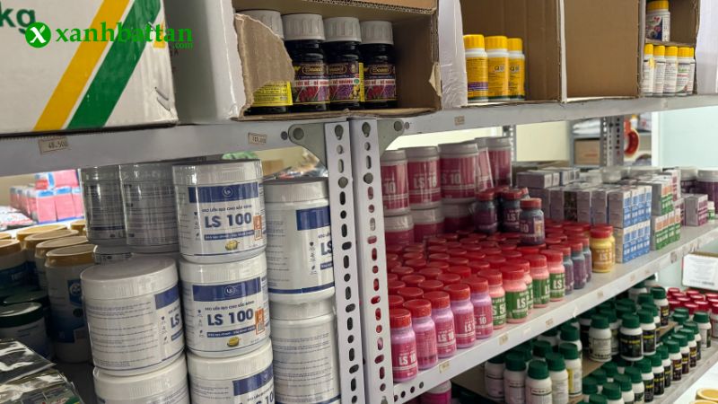 Địa chỉ mua phân bón kích rễ chất lượng tại TP.HCM?