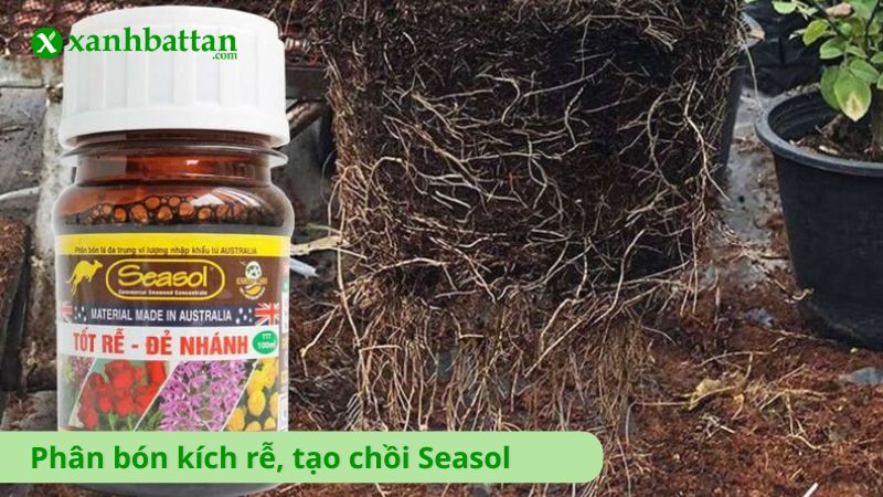 Phân bón kích rễ, tạo chồi Seasol
