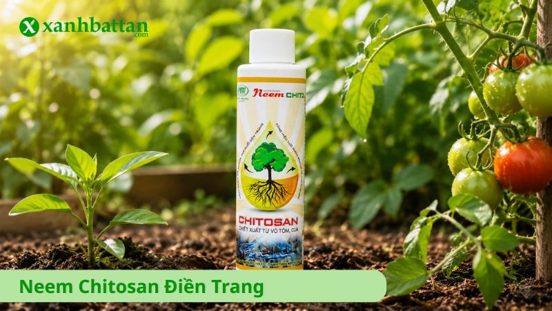 Neem Chitosan Điền Trang
