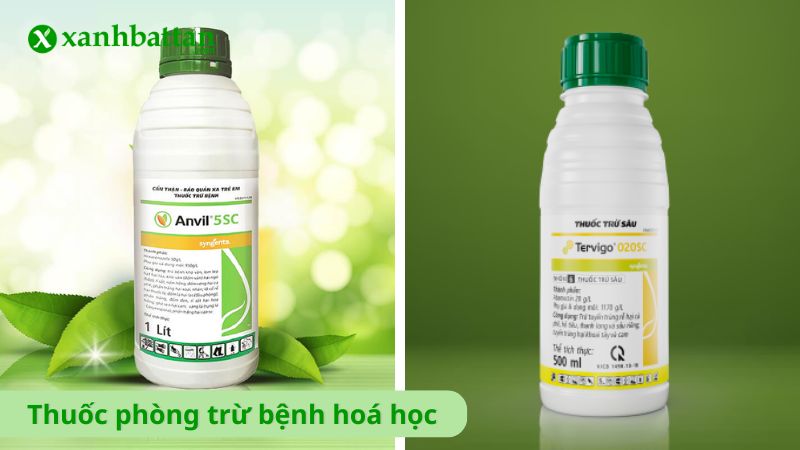 Thuốc phòng trừ bệnh hoá học là gì?