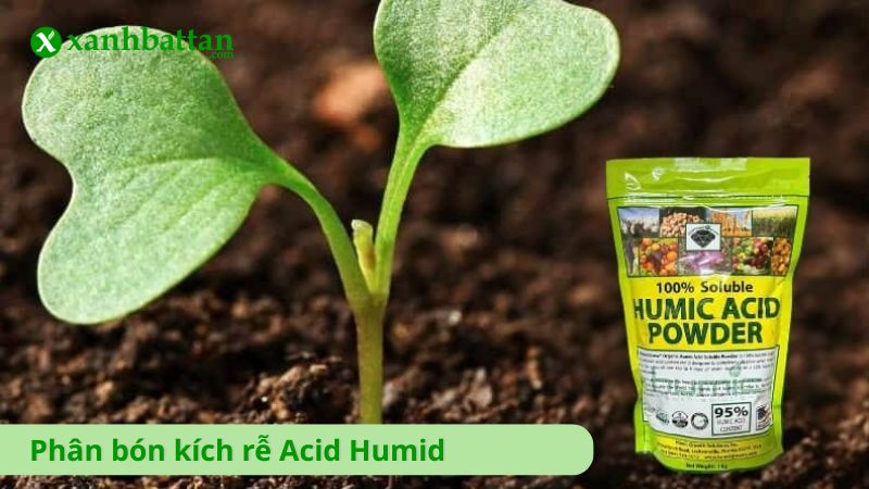 Phân bón kích rễ Acid Humid