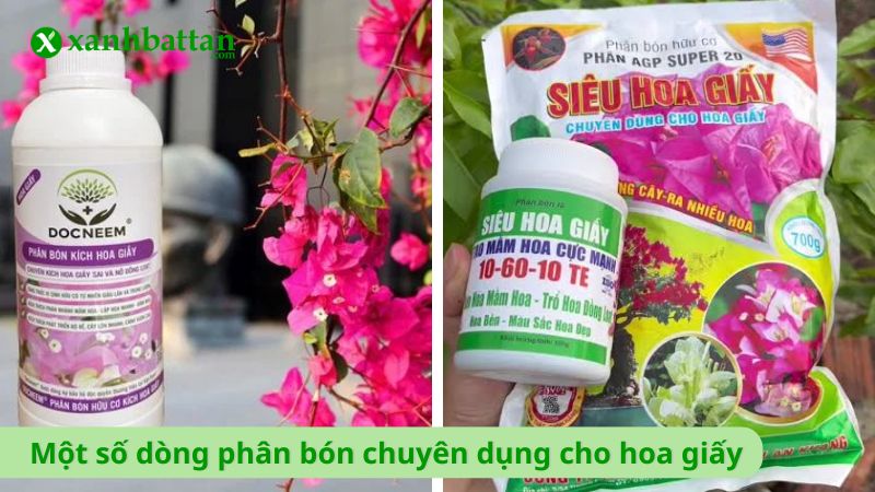 Một số dòng phân bón chăm sóc chuyên dụng