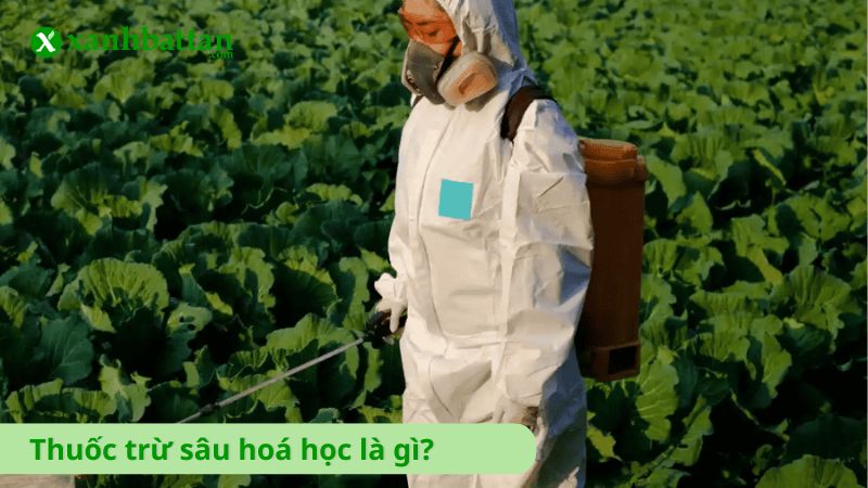 Thuốc trừ sâu hoá học là gì?