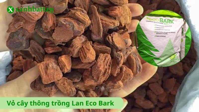 Vỏ cây thông trồng Lan Eco Bark