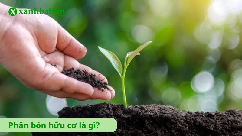 Phân bón hữu cơ là gì?