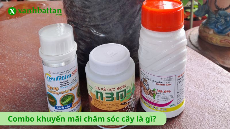 Combo khuyến mãi chăm sóc cây là gì?